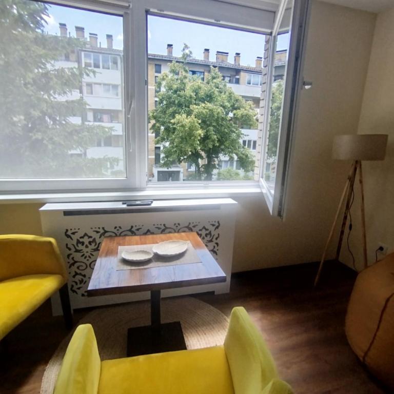 Scandi studio apartment Sarajevo - Apartman sa 1 Spavaćom Sobom - 9
