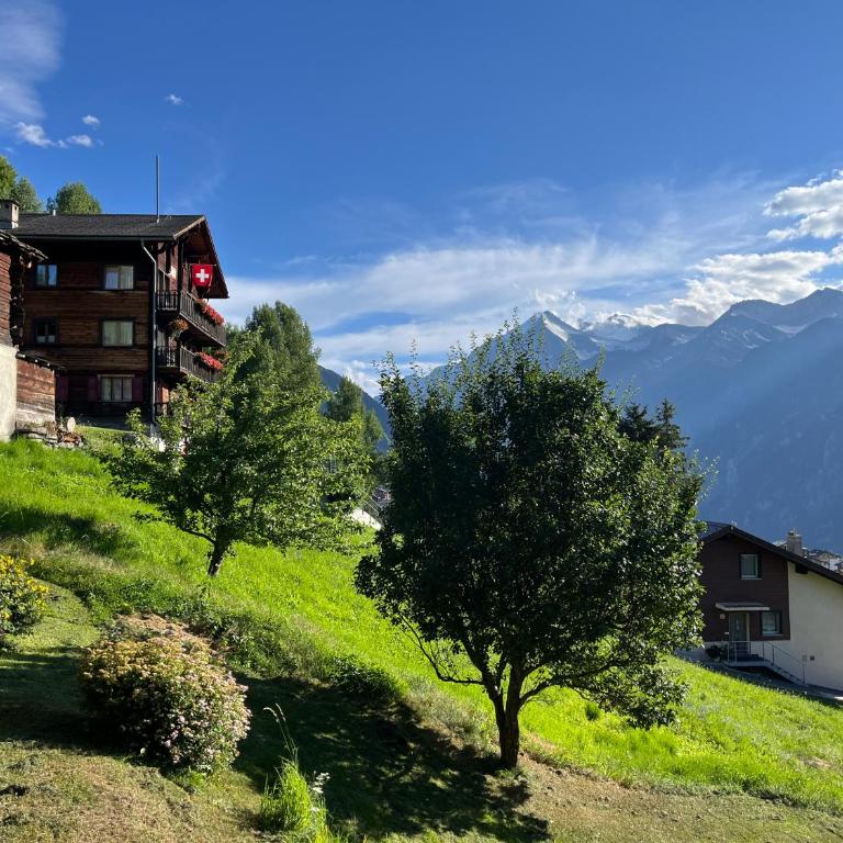 Studio Heaven - Apartment mit 1 Schlafzimmer - 16