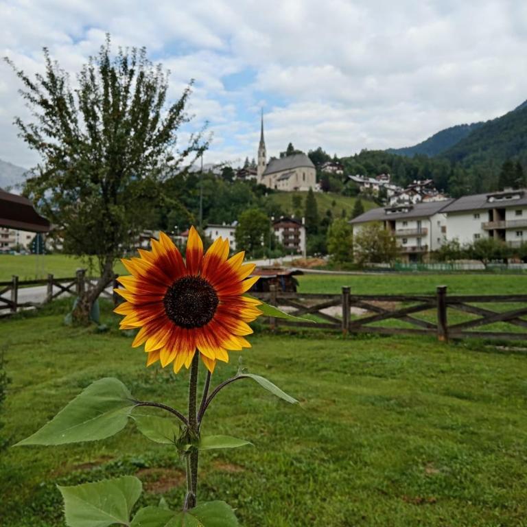 Casa Damari - Appartamento con 3 Camere da Letto e Vista Montagna - 1