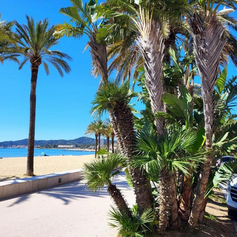 Appartement 50m2, résidence privée avec piscine, tennis et à 100 m de la plage - Appartamento con 2 Camere da Letto - 13