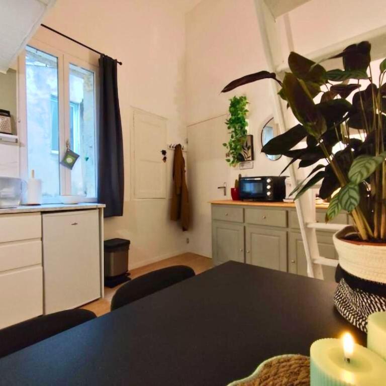 Appartement de charme 2ch centre historique, WIFI - Apartamento de 2 dormitorios - 20