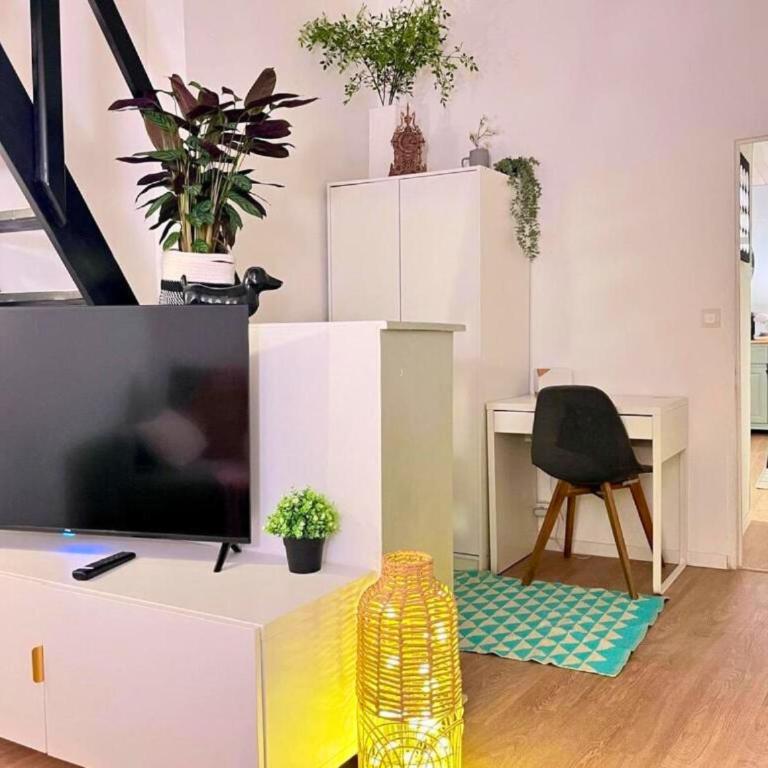 Appartement de charme 2ch centre historique, WIFI - Apartamento de 2 dormitorios - 18
