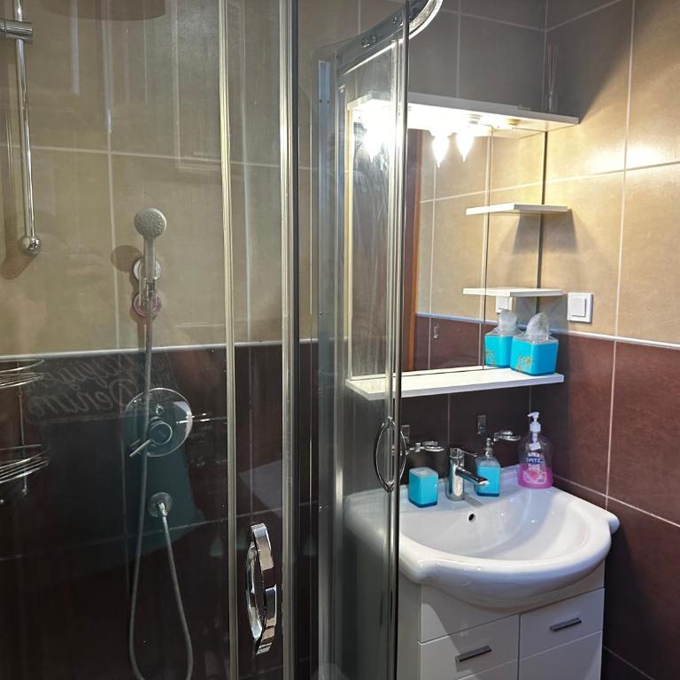 Mik Apartments Heart of Budva 1 plus 1 40 SqMeter - Apartman sa 1 Spavaćom Sobom - 13