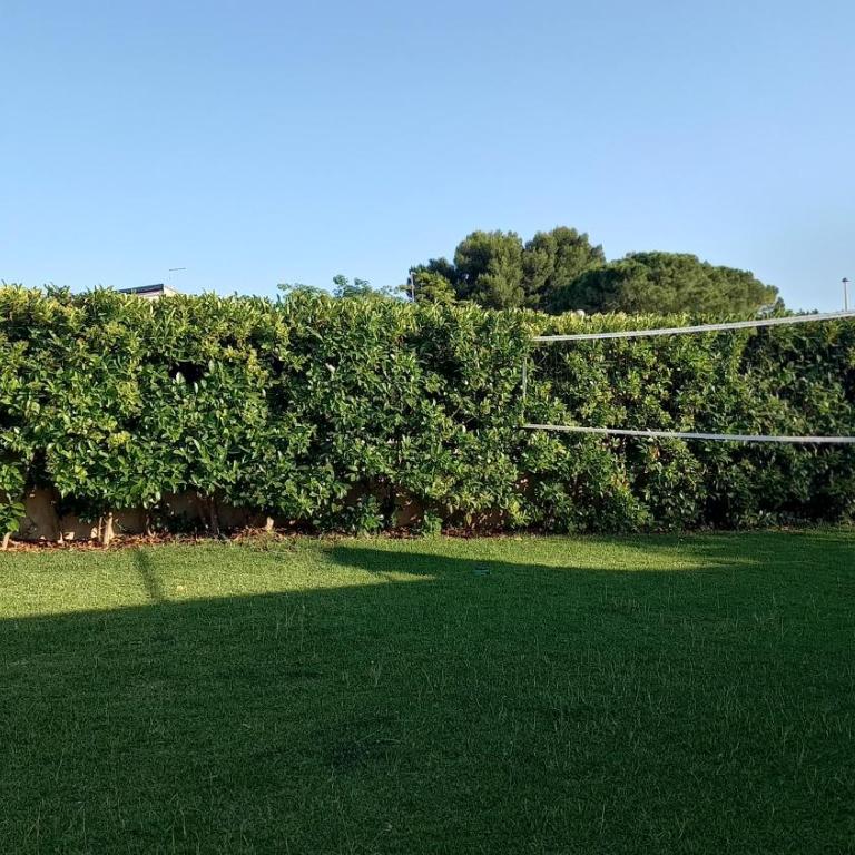 Villa Orione 2006 - Casa Vacanze con 3 Camere da Letto - 25