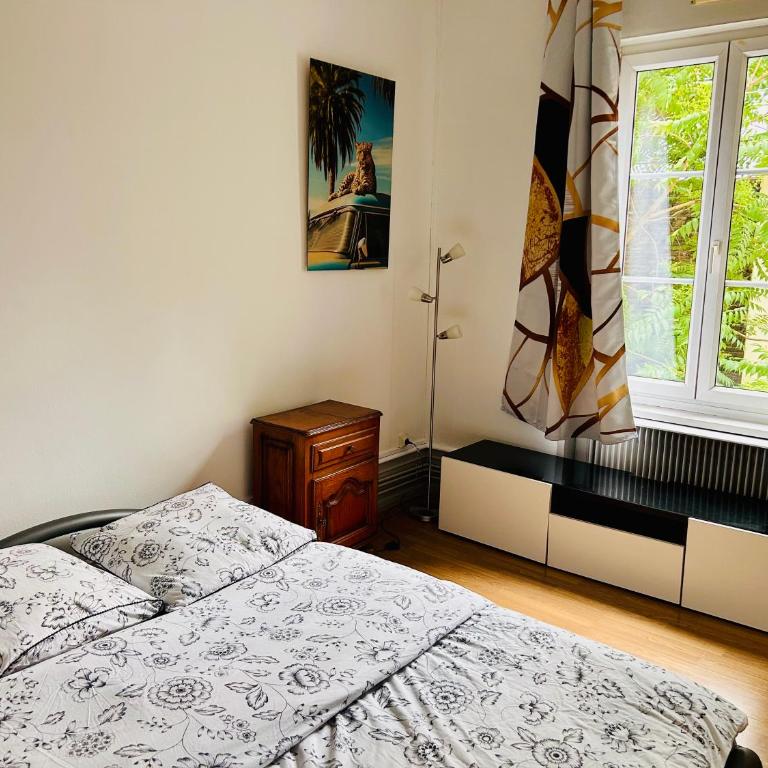 appartement spacieux en centre ville - Appartamento - 12