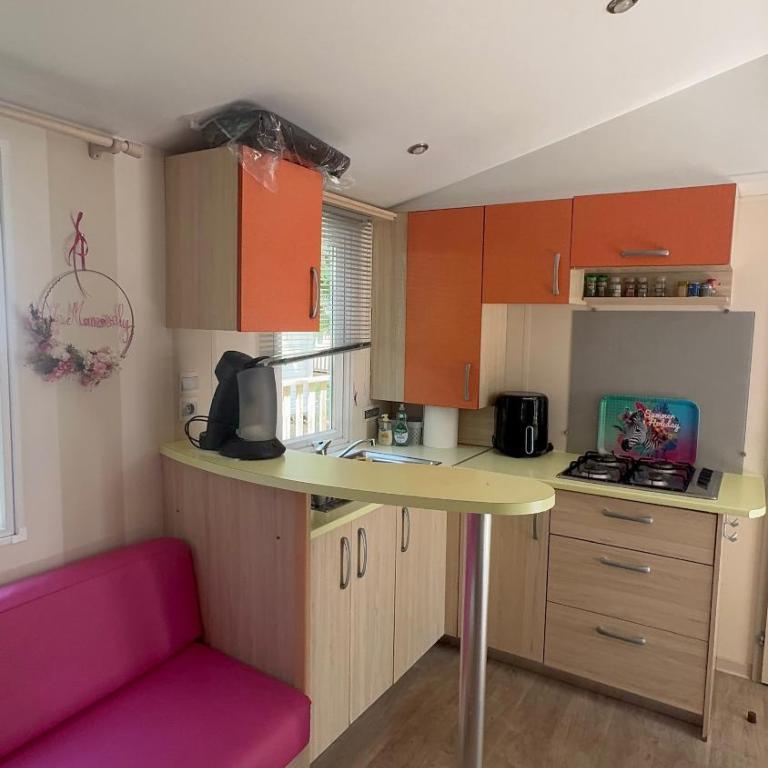 Mobil-home Le Manosely confort 6 pers Climatisé-Plages à proximité - Mobile Home - 4