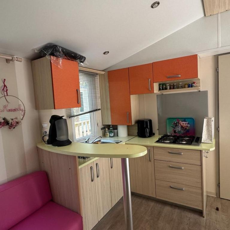 Mobil-home Le Manosely confort 6 pers Climatisé-Plages à proximité - Mobile Home - 14