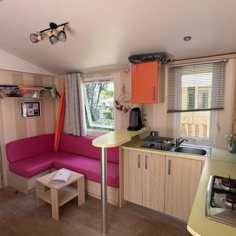 Mobil-home Le Manosely confort 6 pers Climatisé-Plages à proximité - Mobile Home - 1