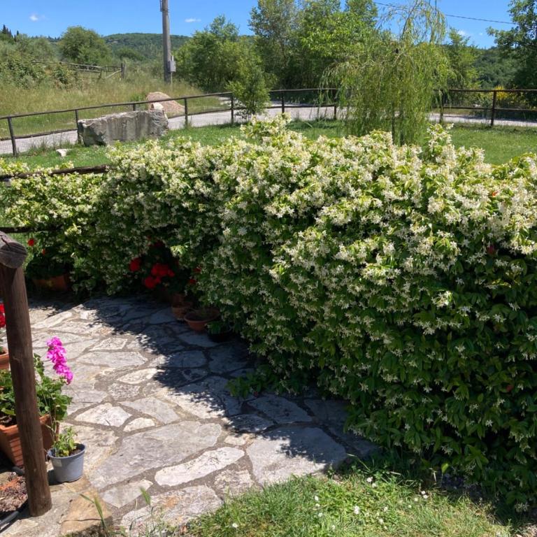 Salto di Gatto - Casa con 2 Camere da Letto - 32