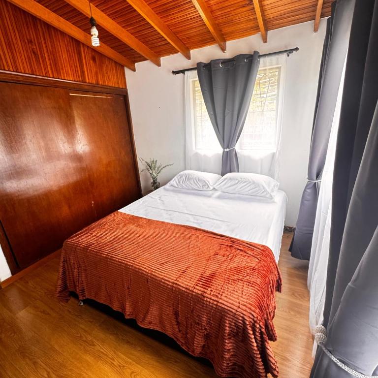 Hostal Galería de la Montaña, Medellin - Standard Double Room with Shared Bathroom - 4