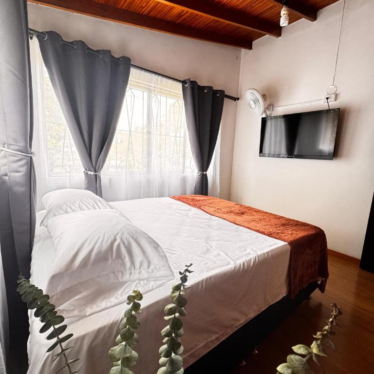 Hostal Galería de la Montaña, Medellin - Standard Double Room with Shared Bathroom - 3