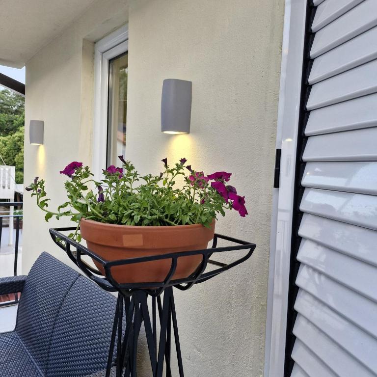 apartman stan Savina - Deluxe Apartment - 20
