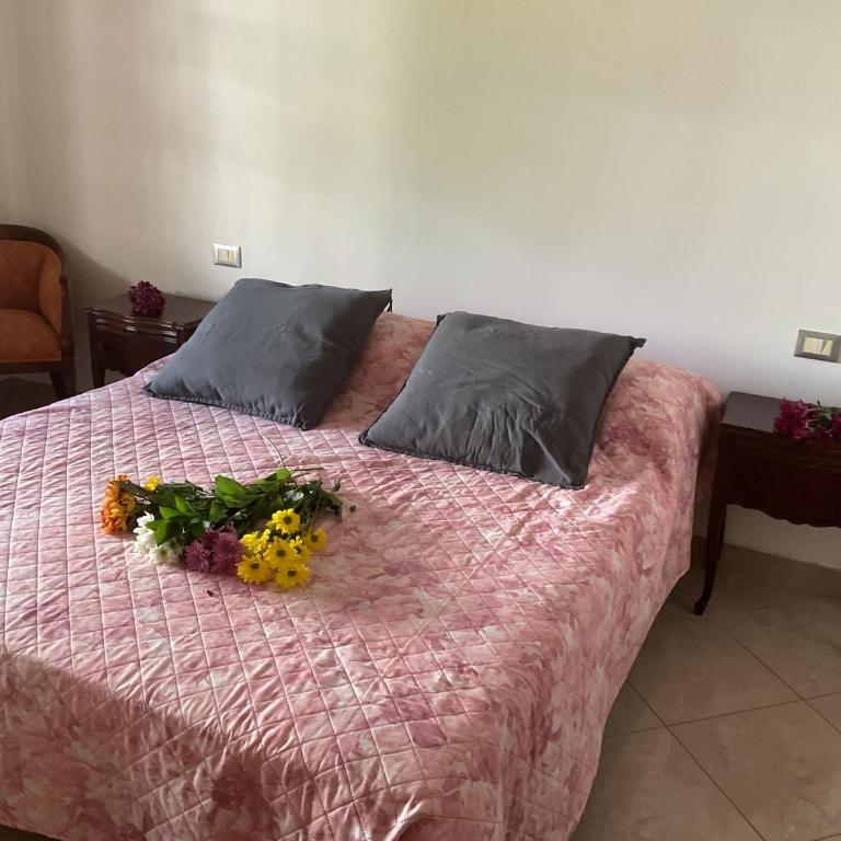 Casa Elena - Two-Bedroom Apartment - 1
