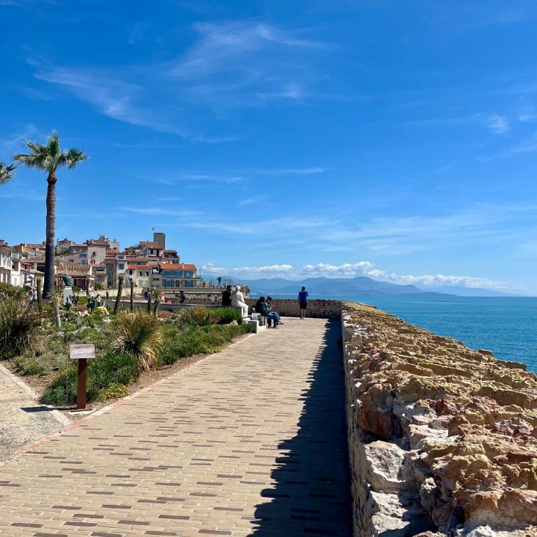 Studio Standing 100m de la mer avec balcon Fort Dauphin - Apartment mit 1 Schlafzimmer - 21