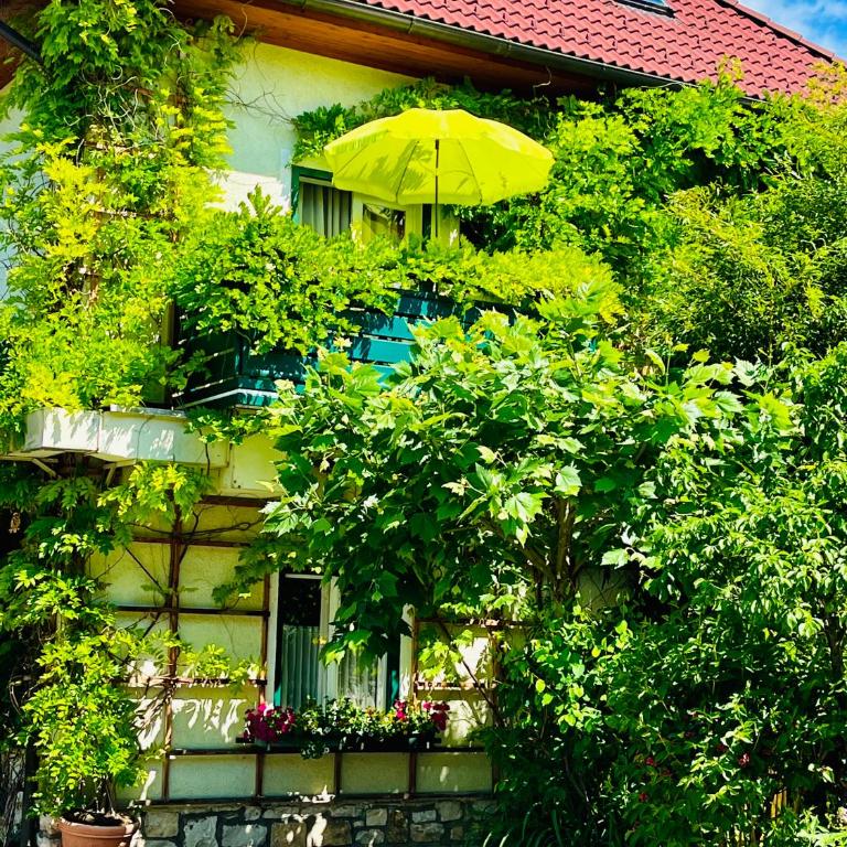 Pension am Campus Velden - Doppelzimmer mit Balkon - 5
