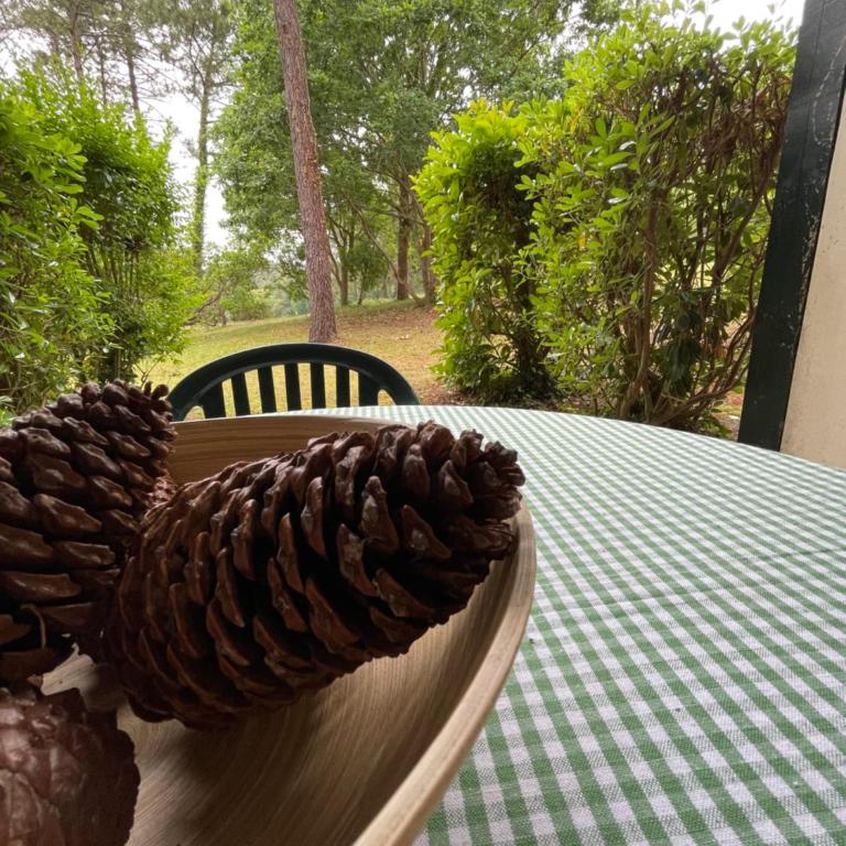 Joli appartement au golf - Appartement 1 Chambre - 14