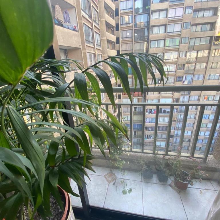Departamento entero Santiago Centro - Apartamento de 2 dormitorios - 10