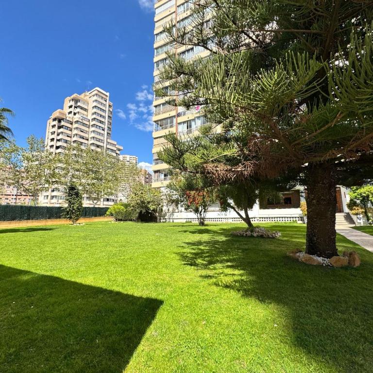 Benidorm HappyBeach - Apartamento de 1 dormitorio - 25