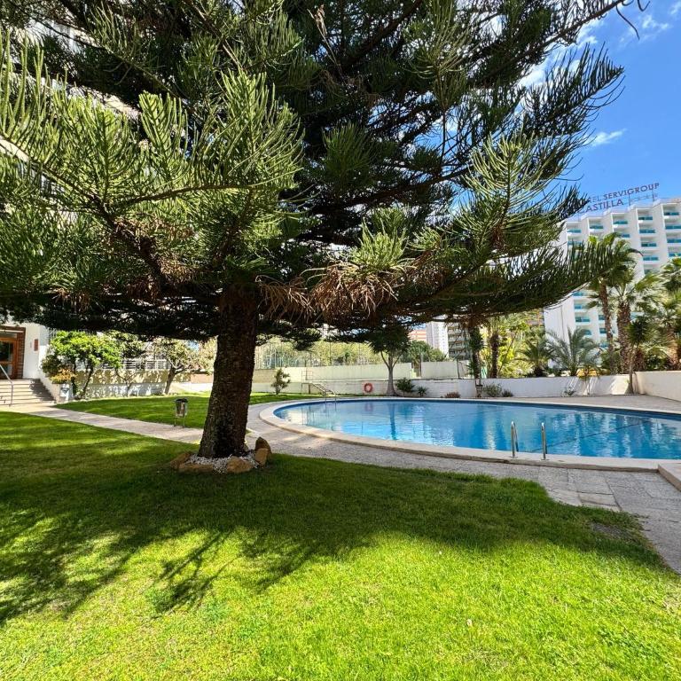 Benidorm HappyBeach - Apartamento de 1 dormitorio - 1
