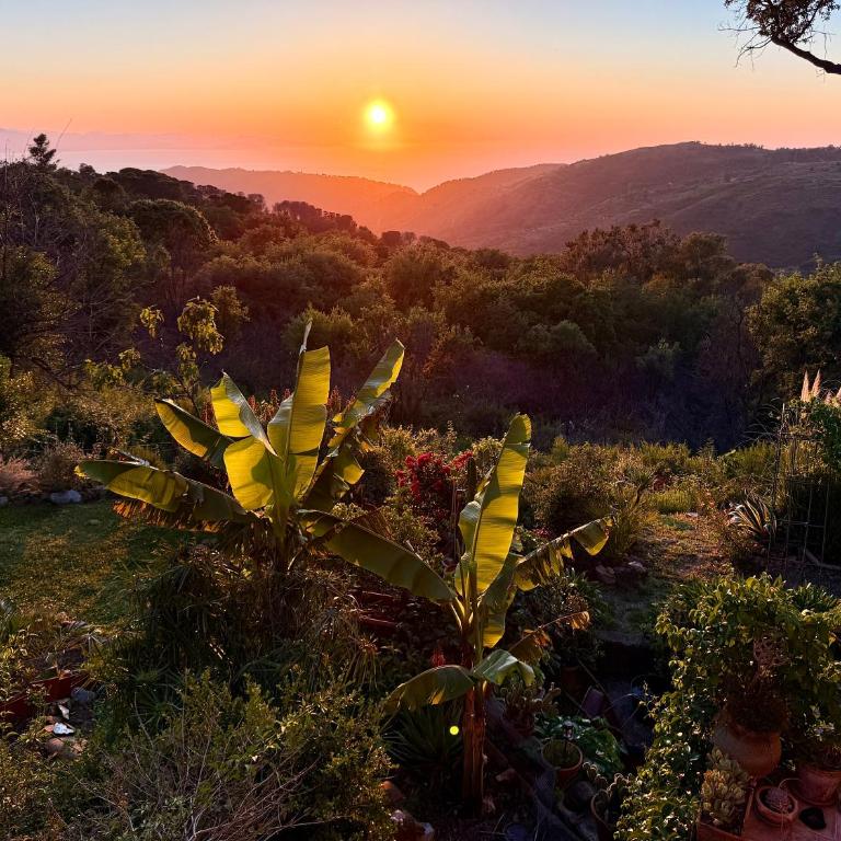 Cefalù Forest Hideout - Superior Double Room - 2
