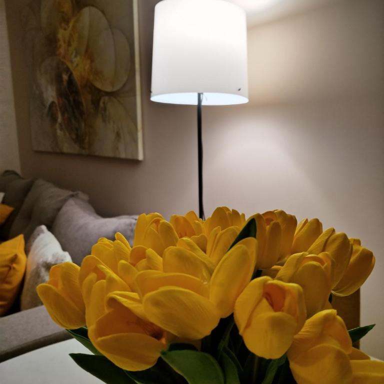 Apartmani Zlatibor centar - Apartman - 5