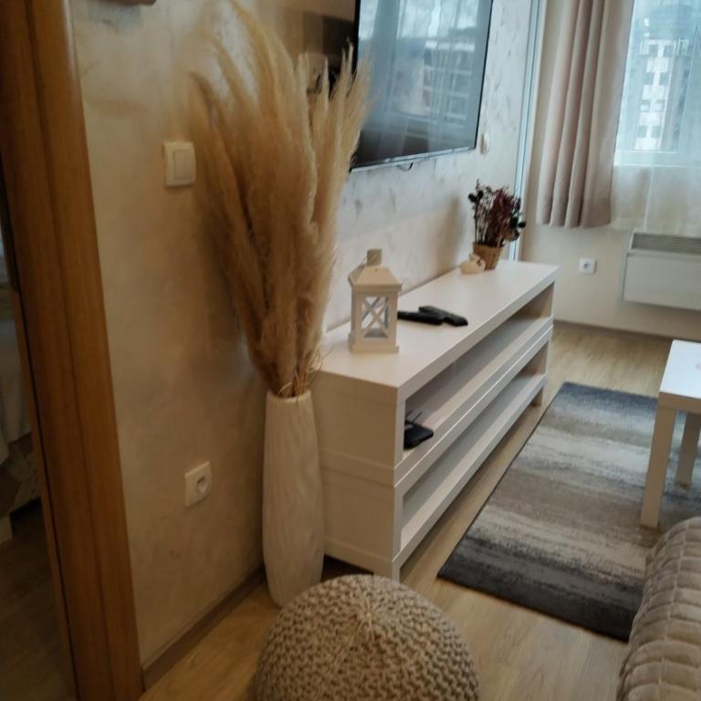 Apartmani Zlatibor centar - Apartman - 3