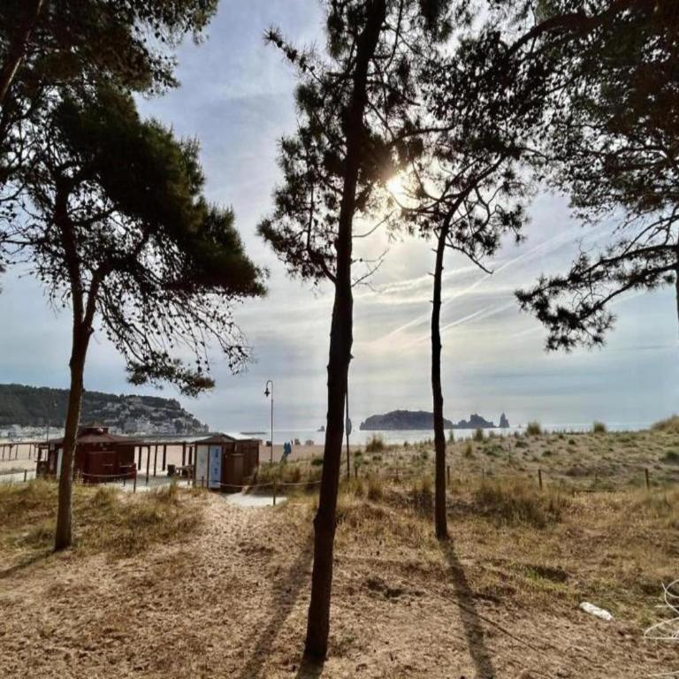 Apartment in Estartit near Sandy Beach - One-Bedroom Apartment - 28