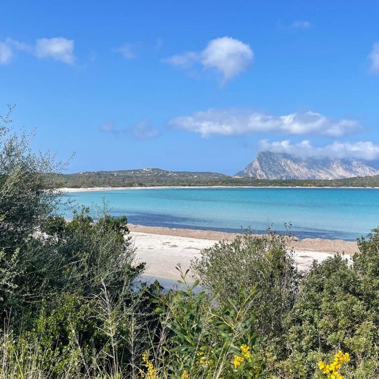 Le Dimore del Sole Tavolara apartment - Appartamento con 1 Camera da Letto - 25