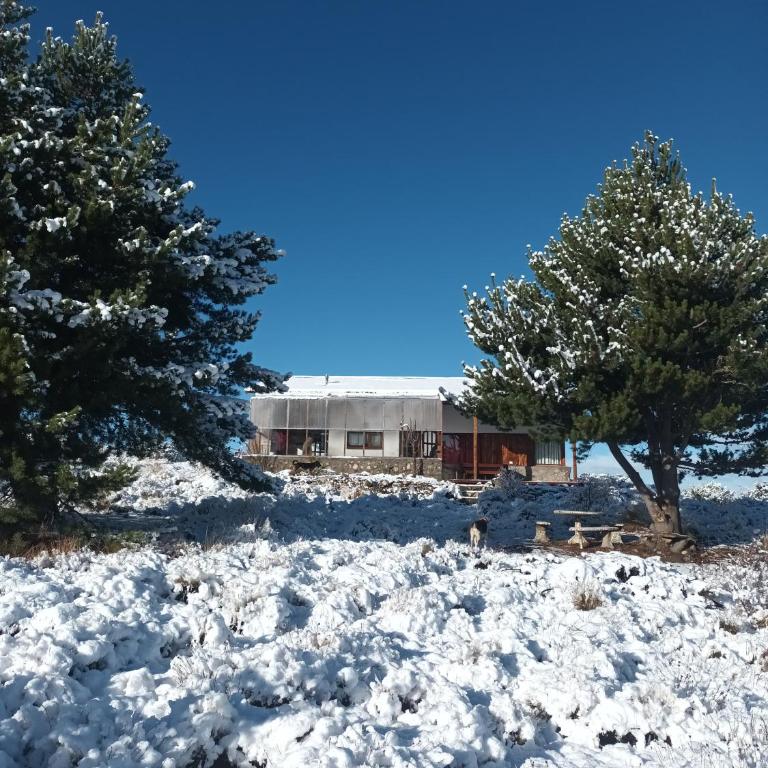 Tierra de Guanacos - casa en la naturaleza - Chalet de 3 dormitorios - 6