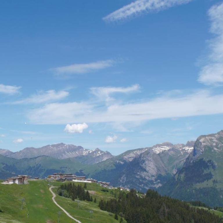 Ski1600 - GrandMassif - Appartement 1 Chambre - 22