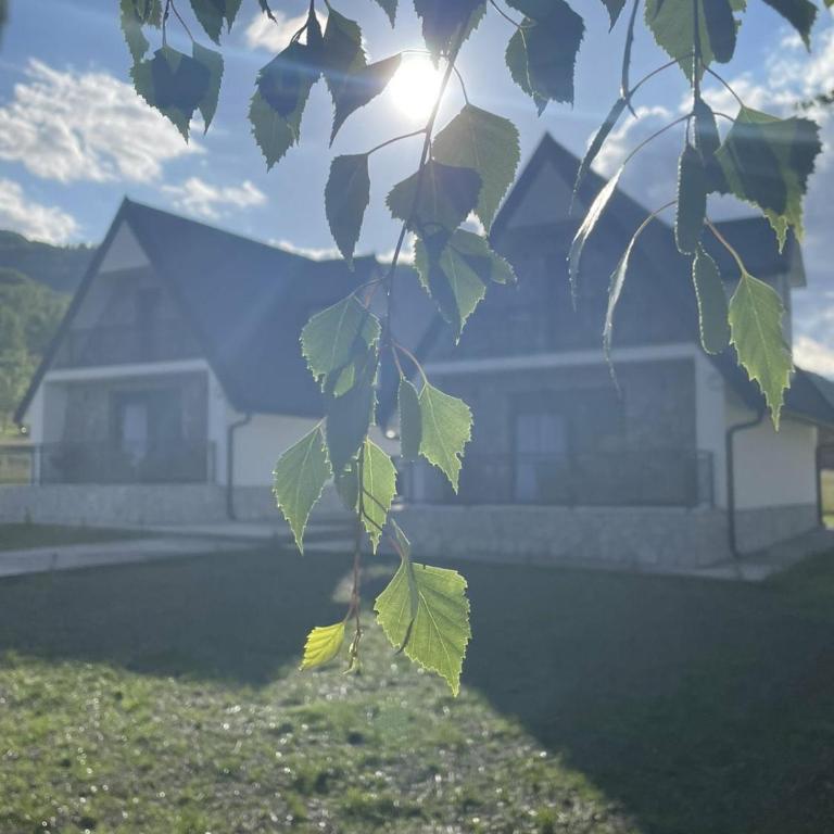 BOK Holiday VILLAGE Kolasin - Vila sa 2 Spavaće Sobe - 50