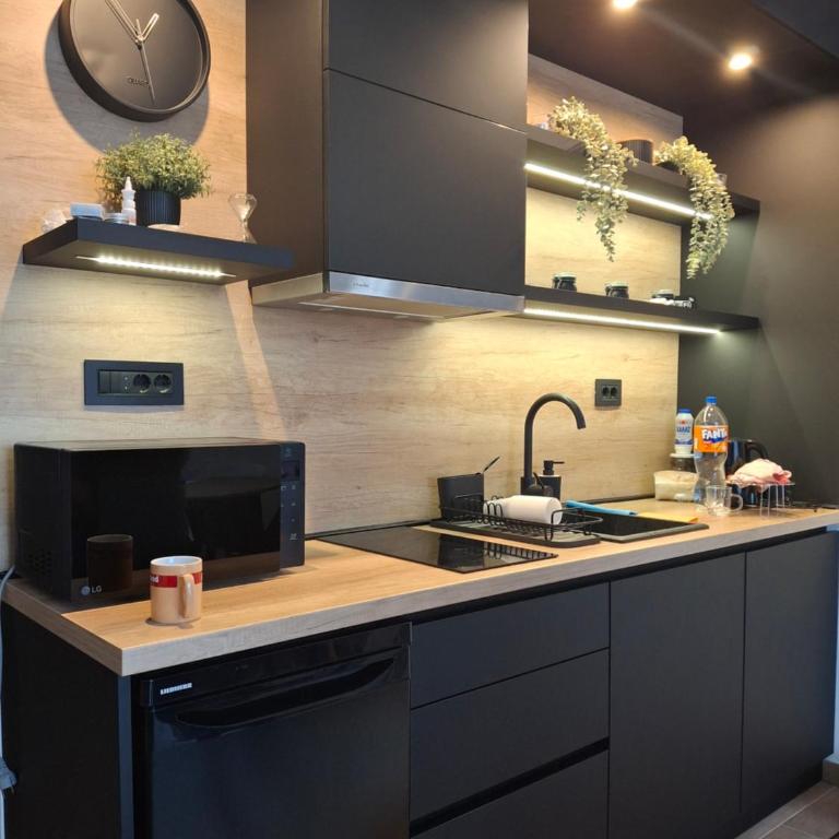President kop APP Katarina II - One-Bedroom Apartment - 5