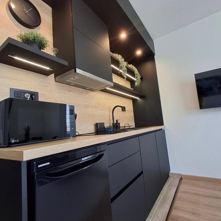 Kopaonik-President kop APP Katarina I - One-Bedroom Apartment - 3