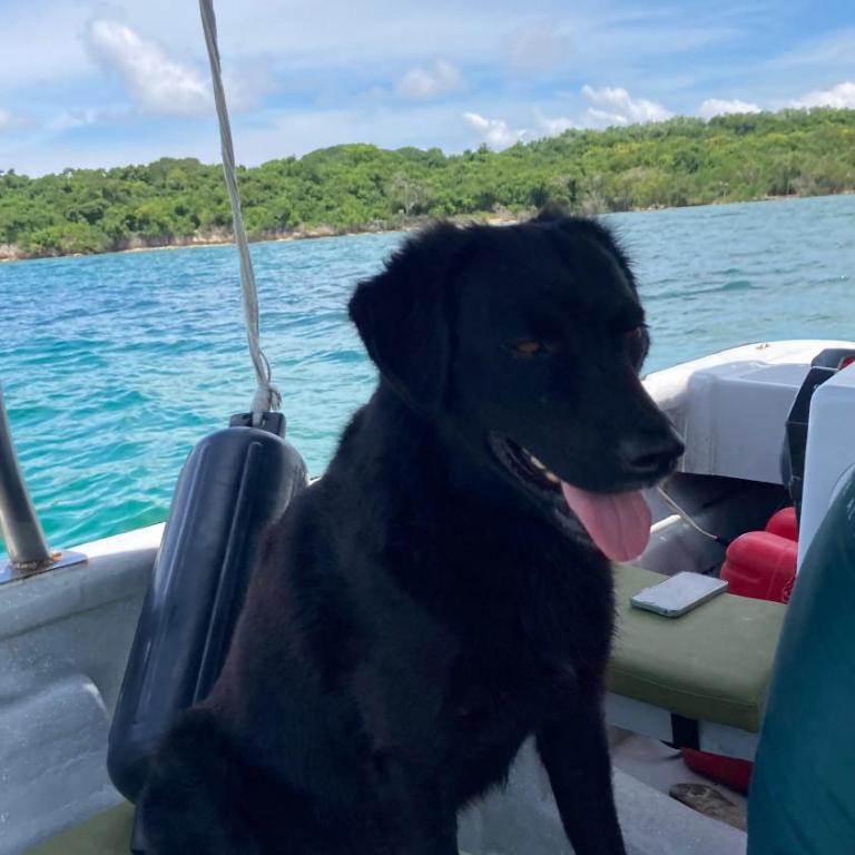 Atalaya Buceo Cari Blue - Apartment with Balcony - 25