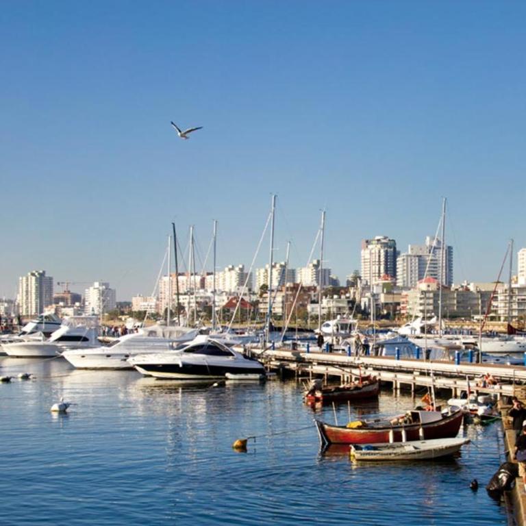 Scorpio 701 - Apartamento de 2 dormitorios - 49