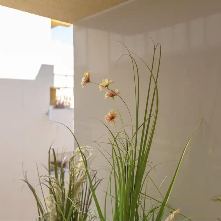Holiday Home in Torremolinos by Playa Carihuela - Appartement 1 Chambre - 20