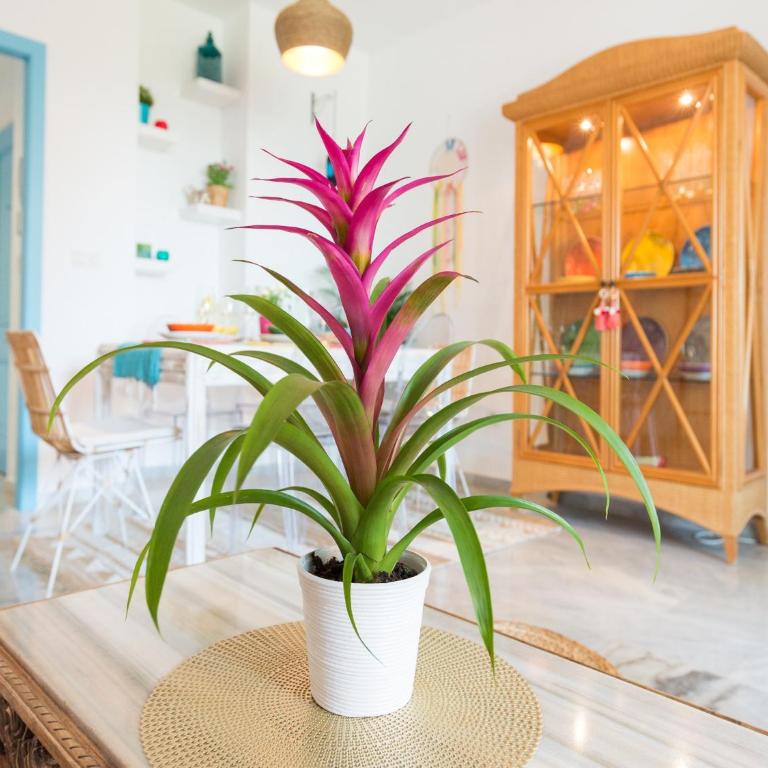 Apartment in Torremolinos by the Beach - Apartamento de 2 dormitorios - 57