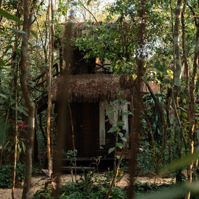 Madre Tierra Eco Habitat - Standard Double Room - 11