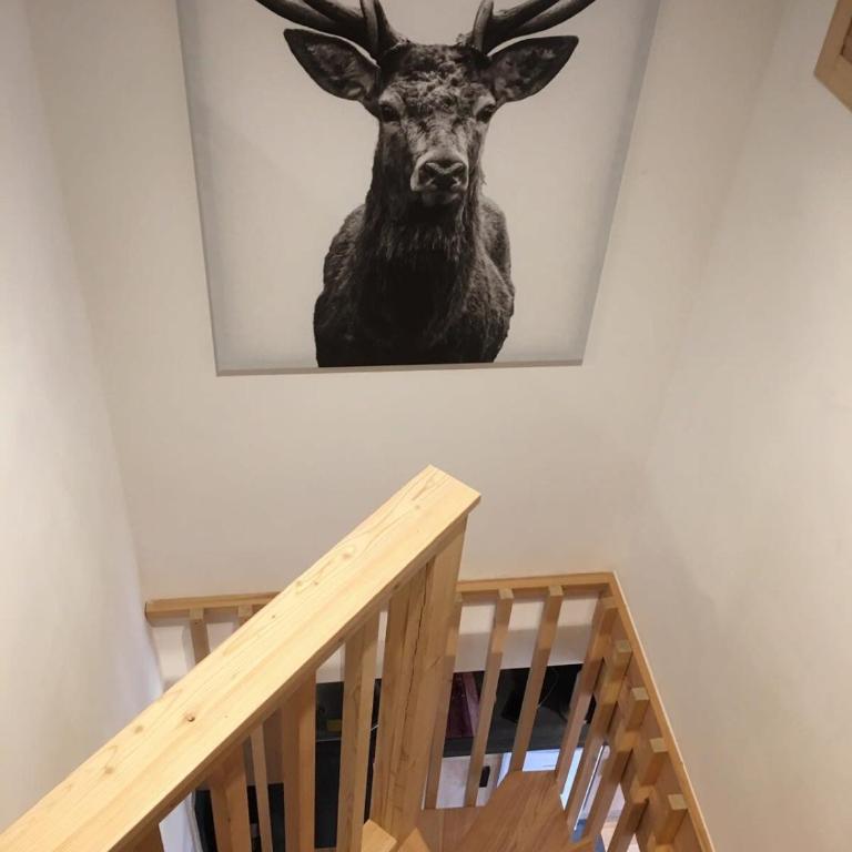 Duplex renovated in 2021 in Roubion - Appartement - 9