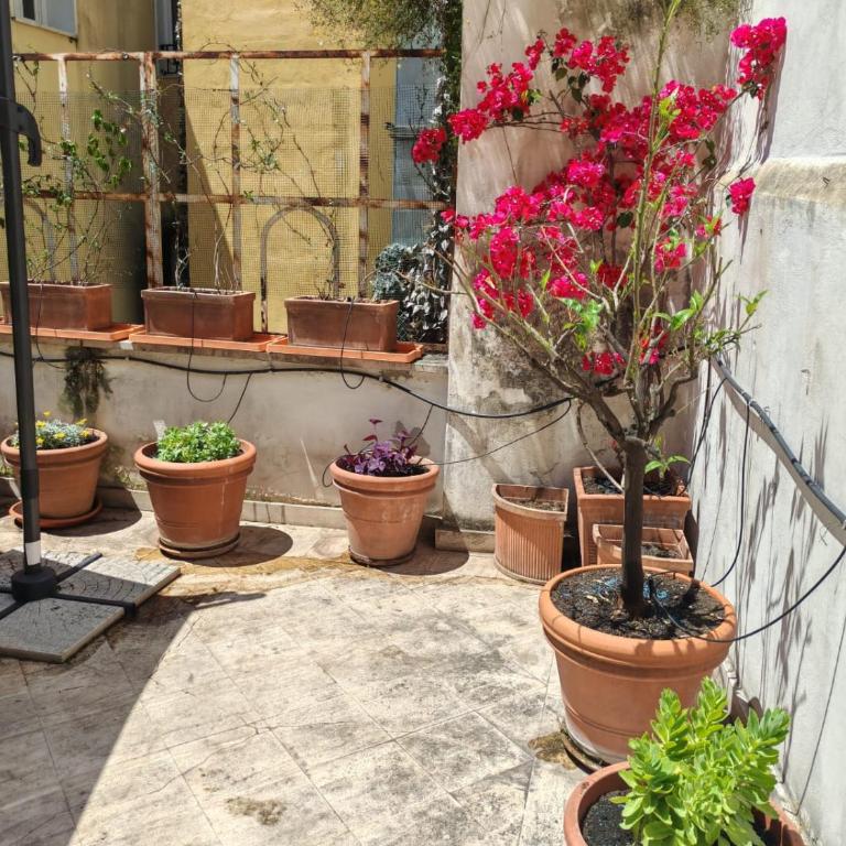 Campo de Fiori - Casa Storica 4bdr con Terrazza - Four-Bedroom Apartment with Balcony - 58