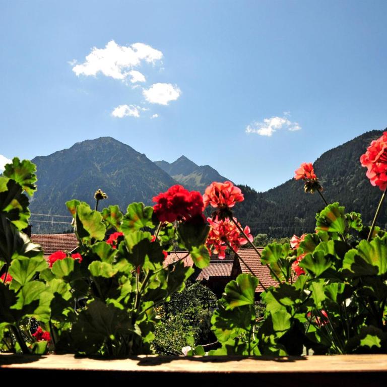 Haus Sonnenruh - Apartment mit Blick auf die Berge - 9