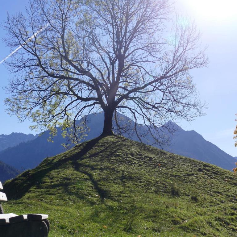 Haus Sonnenruh - Apartment mit Blick auf die Berge - 10