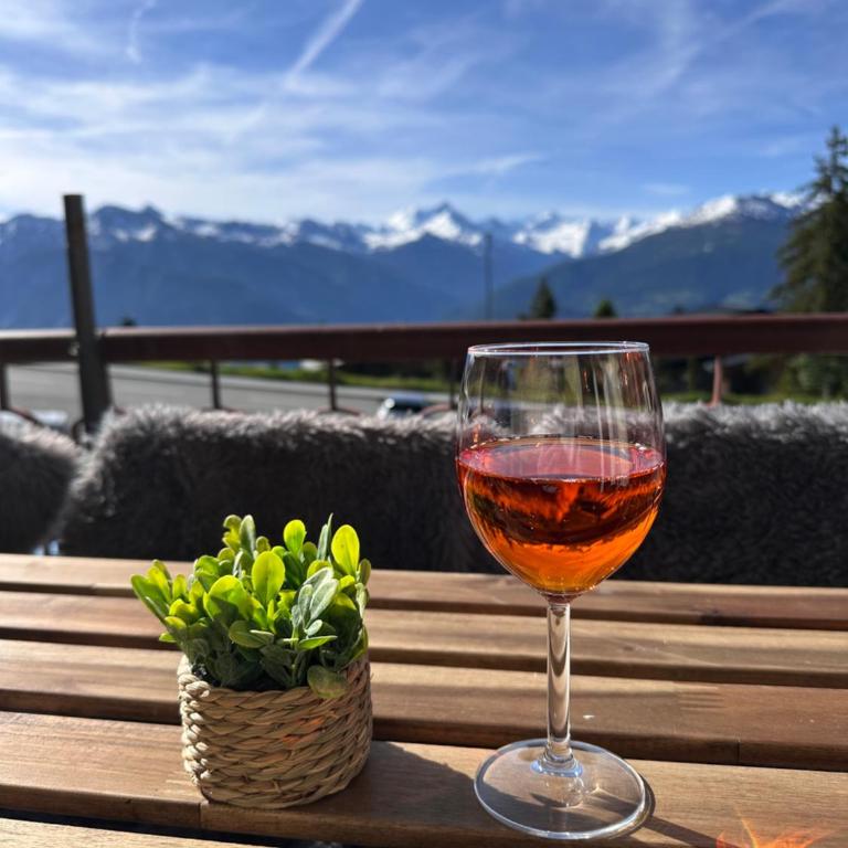 CapoBnB Bergblick nahe See, Wandern, Wallis - Appartement 2 Chambres - 21