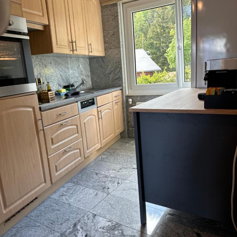 CapoBnB Bergblick nahe See, Wandern, Wallis - Appartement 2 Chambres - 9