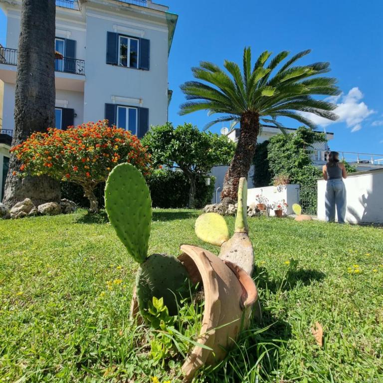 Casa Giulia Azzurra Sirena - Appartamento con 1 Camera da Letto - 6
