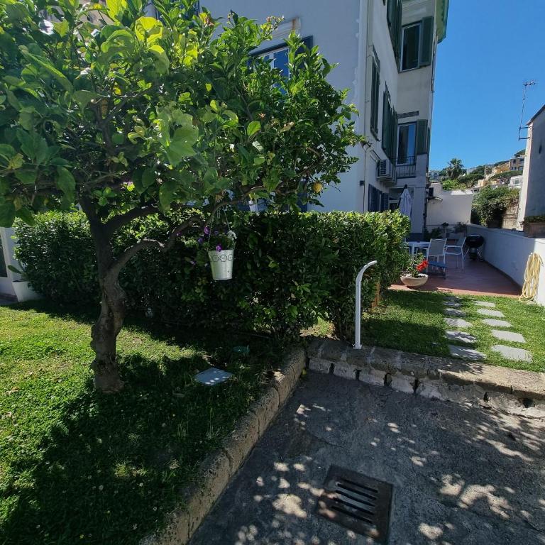 Casa Giulia Azzurra Sirena - Appartamento con 1 Camera da Letto - 2