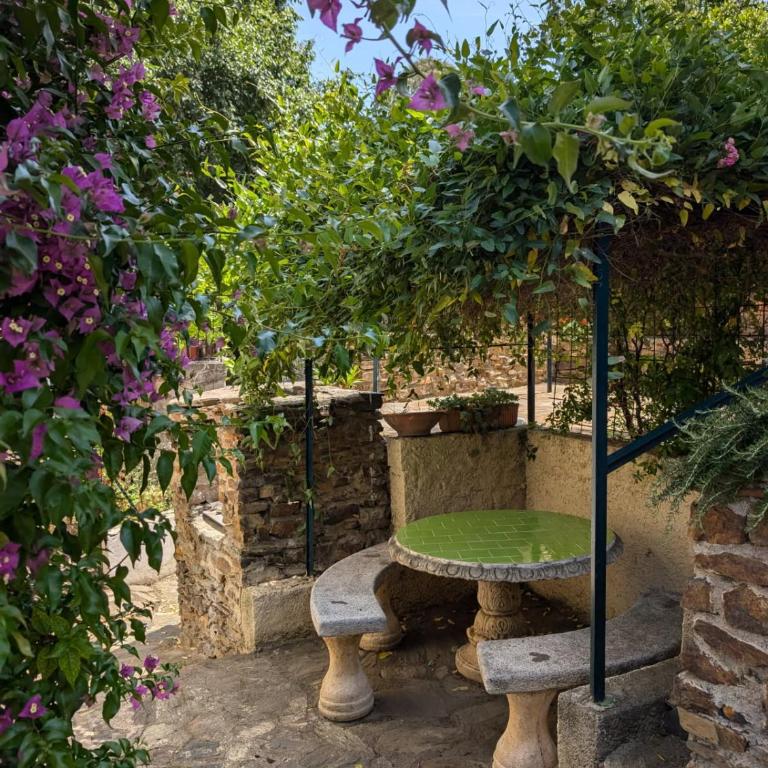 Appartement ensoleillé avec jardin et barbecue - One-Bedroom Apartment - 2