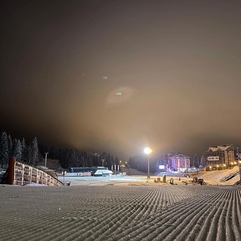 Woodside Kopaonik 417-418 - Deluxe Studio - 41