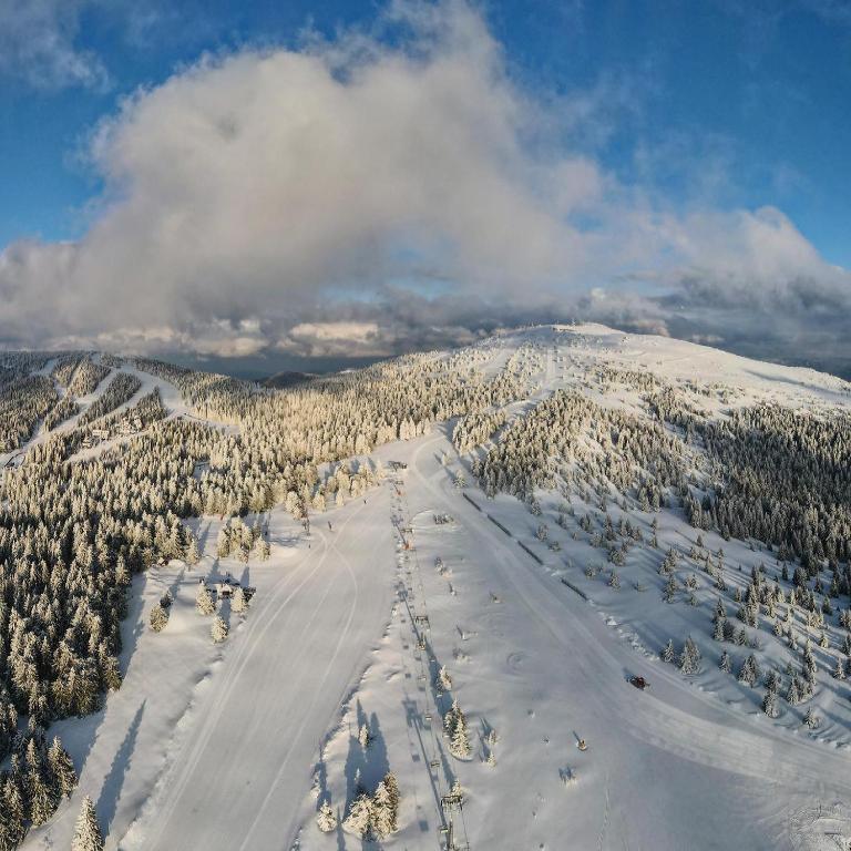 Woodside Kopaonik 417-418 - Deluxe Studio - 45
