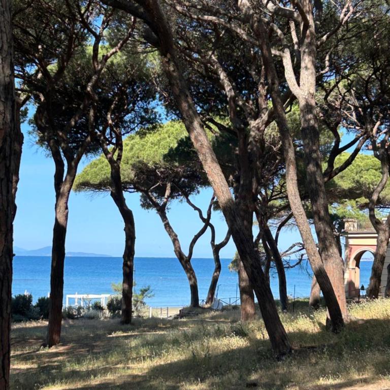 La Casa Blu sul Golfo - Appartamento con 1 Camera da Letto - 10